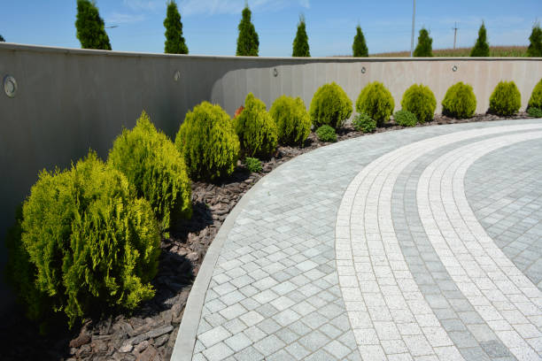 Best Concrete Paver Driveway  in Susanville, CA